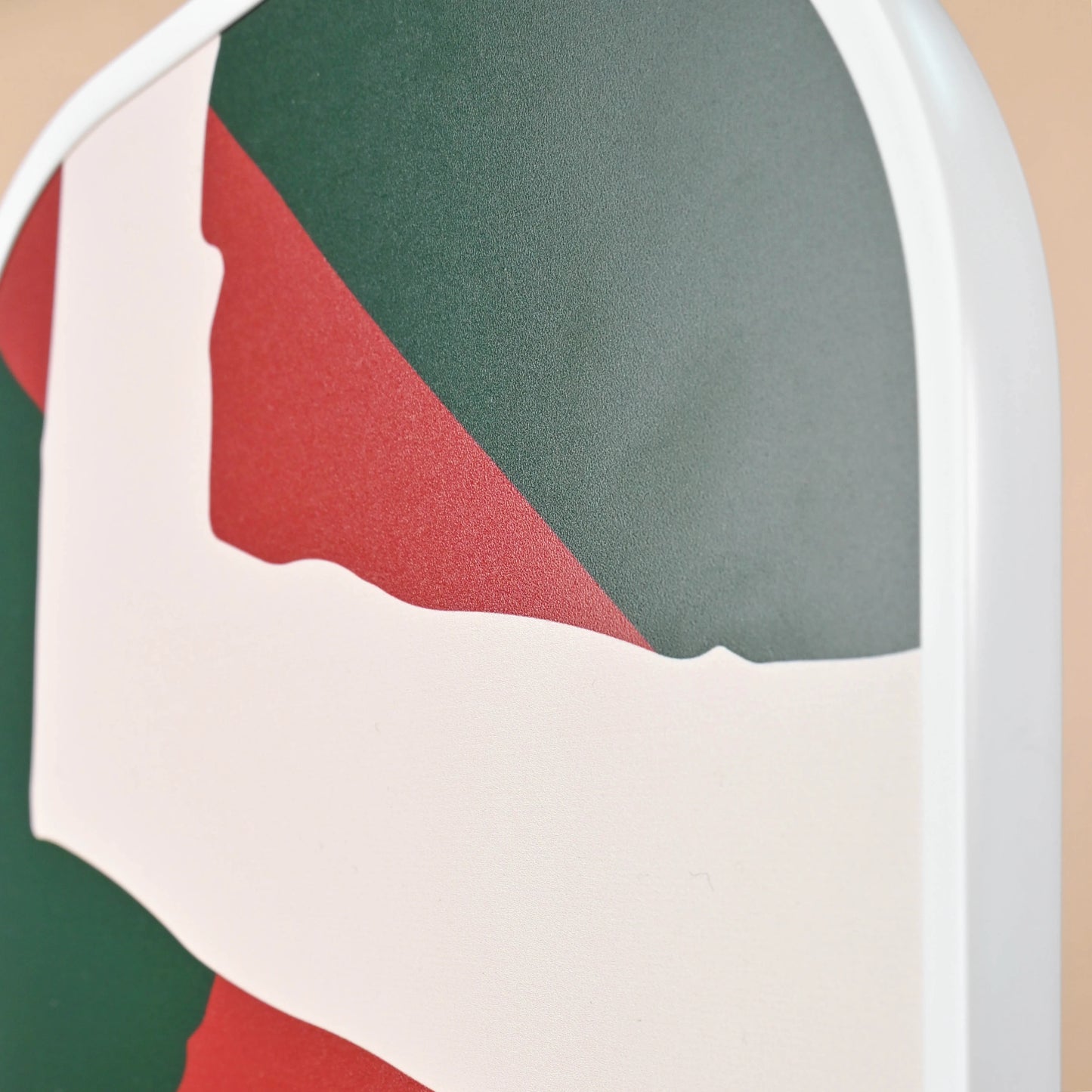 Pro Carbon Fiber Pickleball Paddle - ORB010